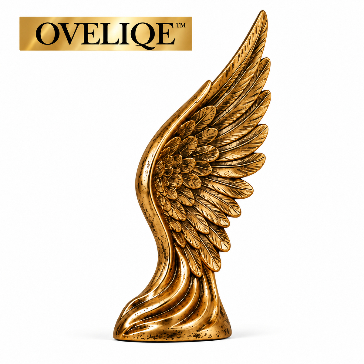 OVELIQE™ Golden Wings Sculpture - Gilded Feathers and Wings Desktop Decor, Modern Gold Storage Rack Accent